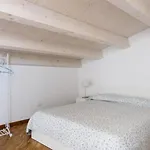Dentrortigia